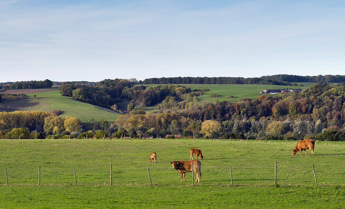 3D printen in Heerlen