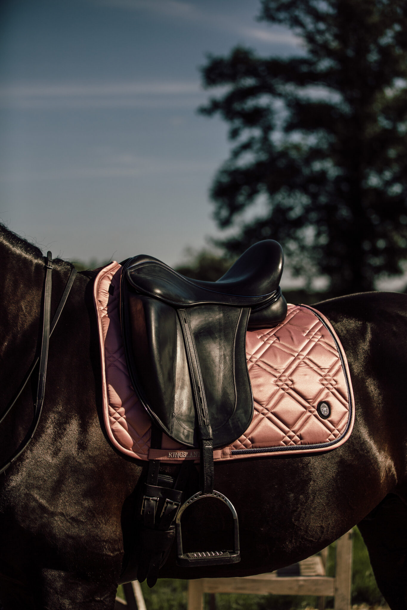 3D-printen-in-de-paardenwereld