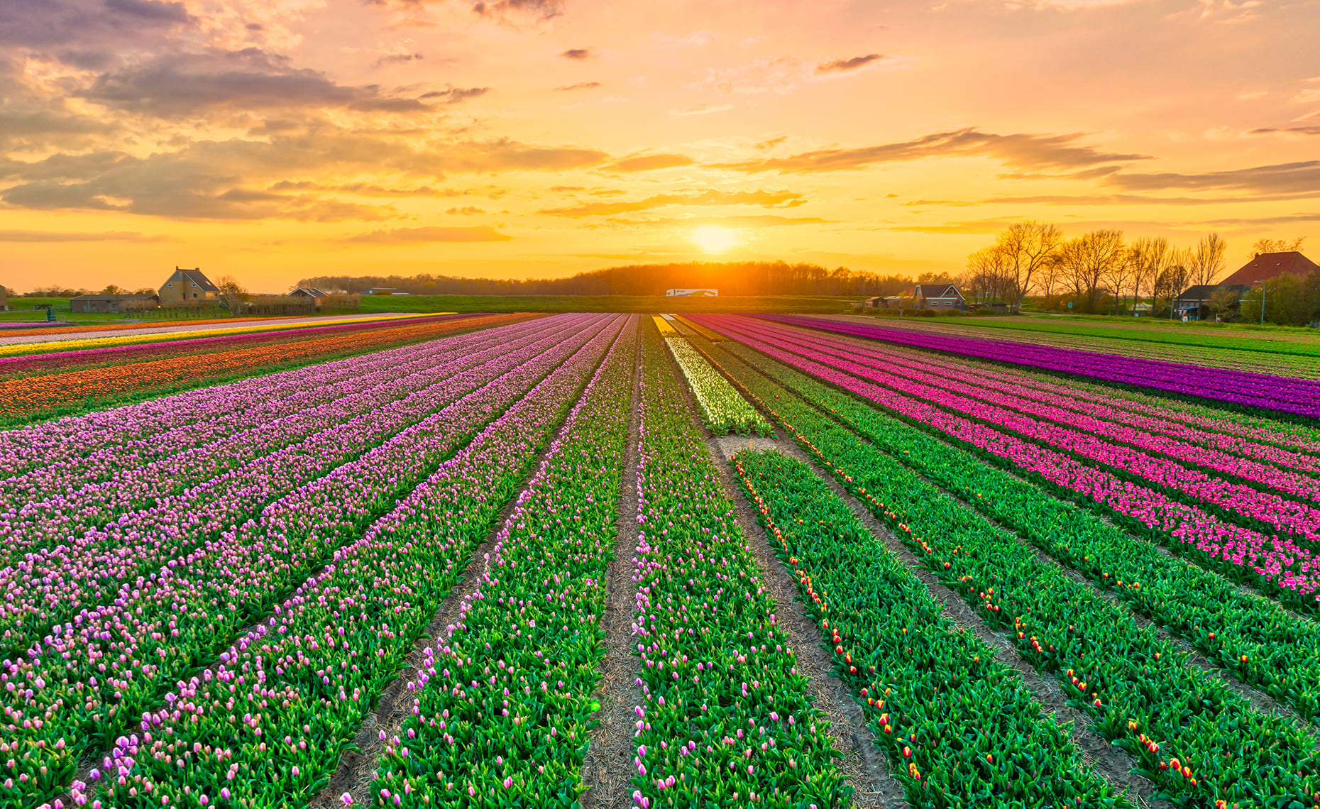 3D Printen Noord-Holland